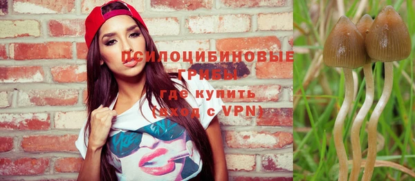 шишки Волоколамск