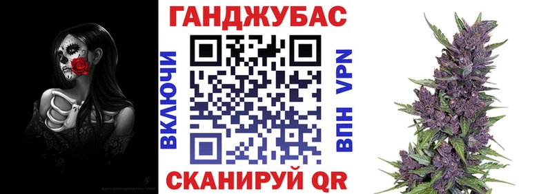 Купить Тюмень Бошки марихуана сатива